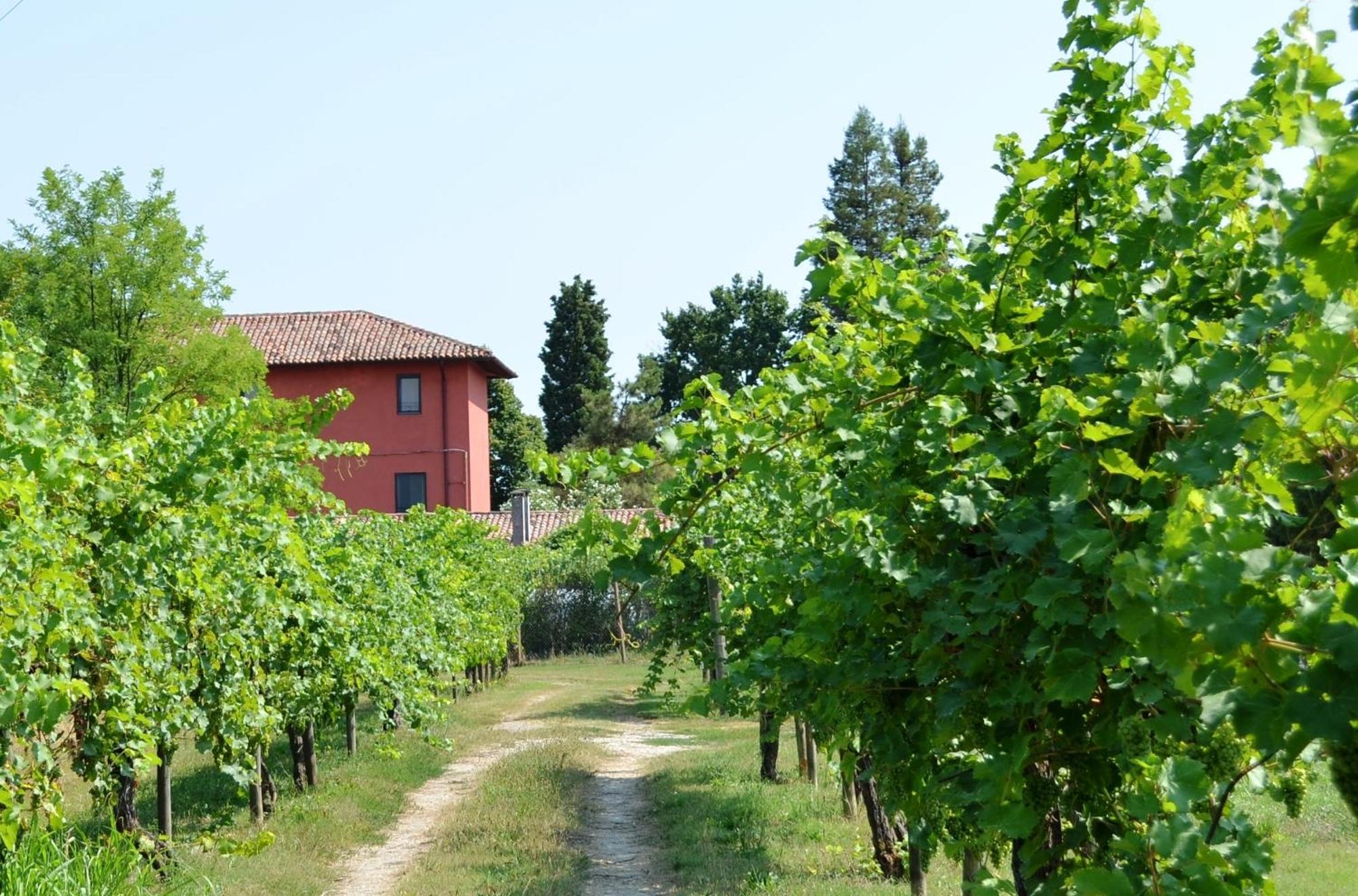 Agriturismo Isola Augusta Palazzolo dello Stella Bagian luar foto